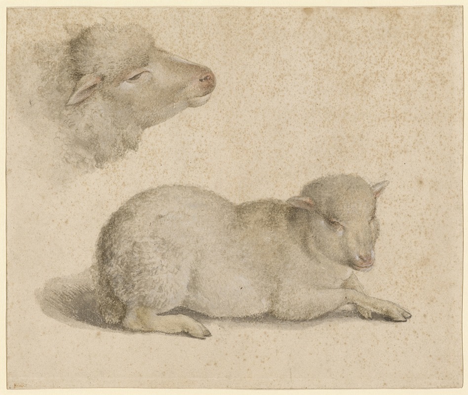 Ruhendes Lamm und Kopf eines Lammes by Hans Holbein The Younger, 1523 — digital art print download
