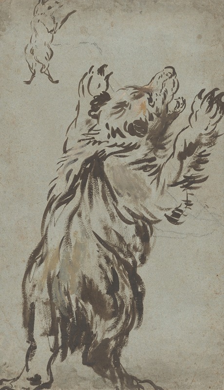Studies of a Bear by Леонар Брамер — digital art print download