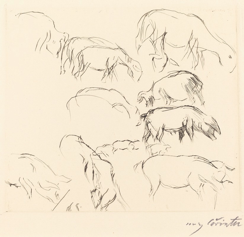 Animal Studies (Verschiedene Tierstudien) by Ловис Коринт, 1917 — digital art print download
