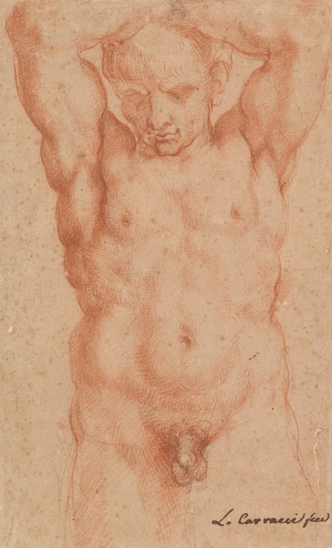 Male Nude by Агостино Караччи — digital art print download