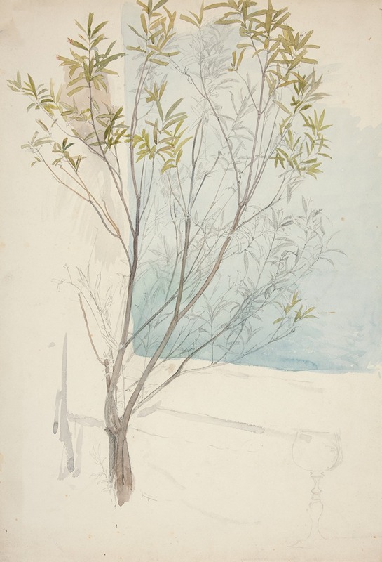 Study of a tree by Эдвин Остин Эбби, 1988 — digital art print download