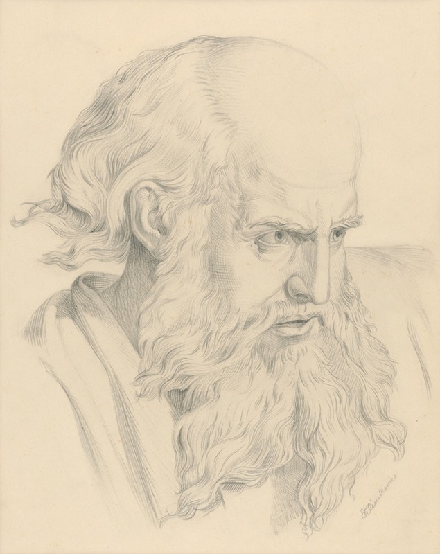 The head of an old man — František Klimkovič