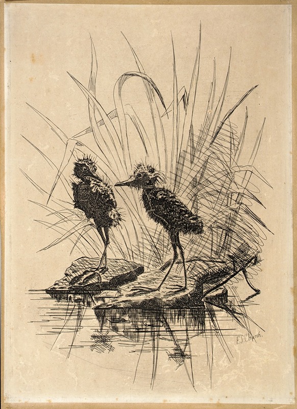 Two Birds by Фредерик Стюарт Чёрч — digital art print download