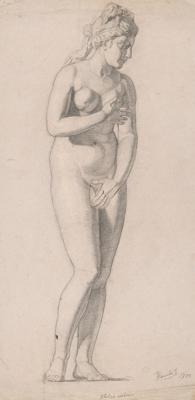 Study of a woman — Йозеф Ханула
