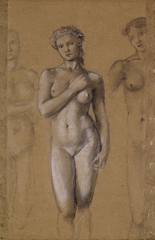 Female Nude – Three Studies, possibly for Venus by Сэр Эдвард Коли Берн-Джонс — digital art print download