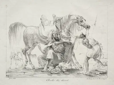 Arab of the Desert by Антуан-Жан Гро, 1817 — digital art print download