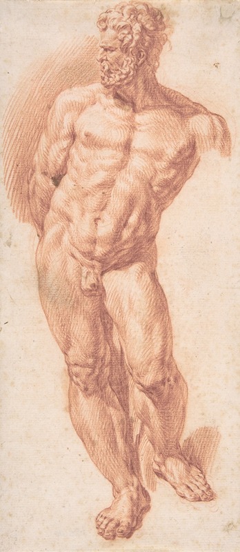 Standing Male Nude by Denys Calvaert — digital art print download