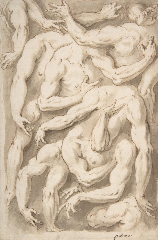 Studies of Arms, Shoulders and Hands — Giacomo Franco