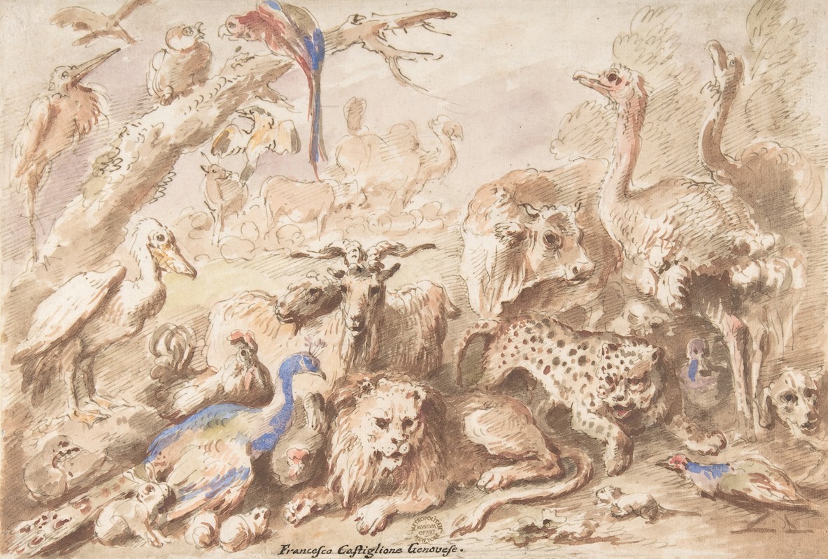 A Congress of Animals — Giovanni Francesco Castiglione