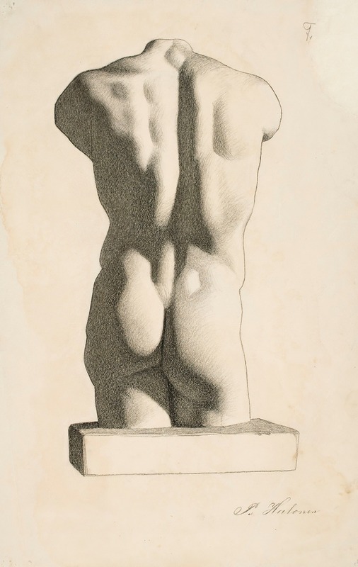 Back of a Male Torso — Пекка Халонен