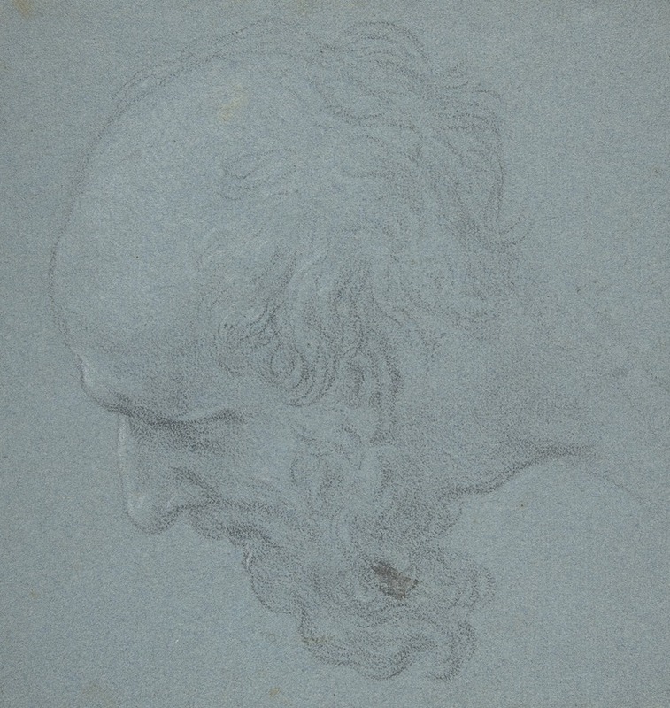 Head of a Bearded Man Looking to Upper Left — Ciro Ferri