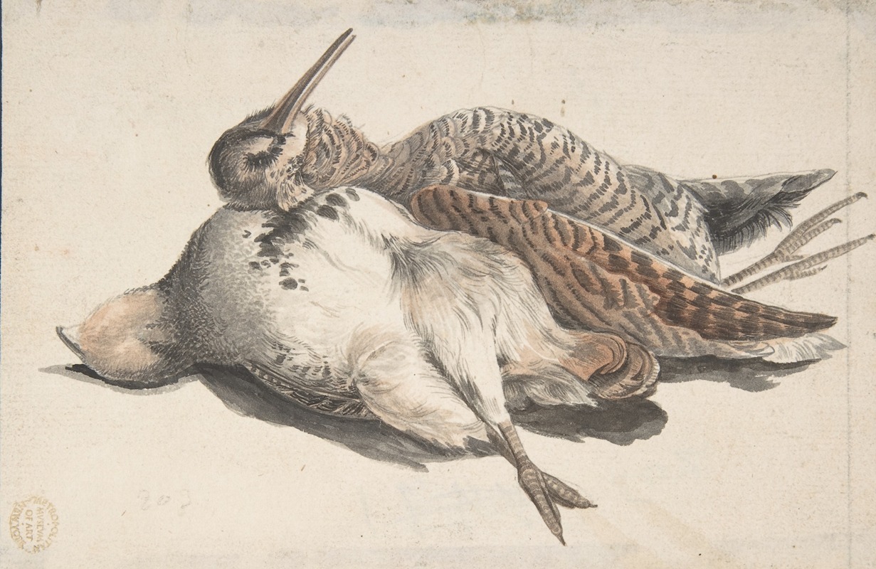 Dead Birds by Count Giorgio Durante, 1685–1755 — digital art print download