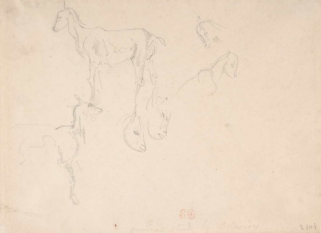 Studies of a Goat by Эжен Делакруа, 1798–1863 — digital art print download