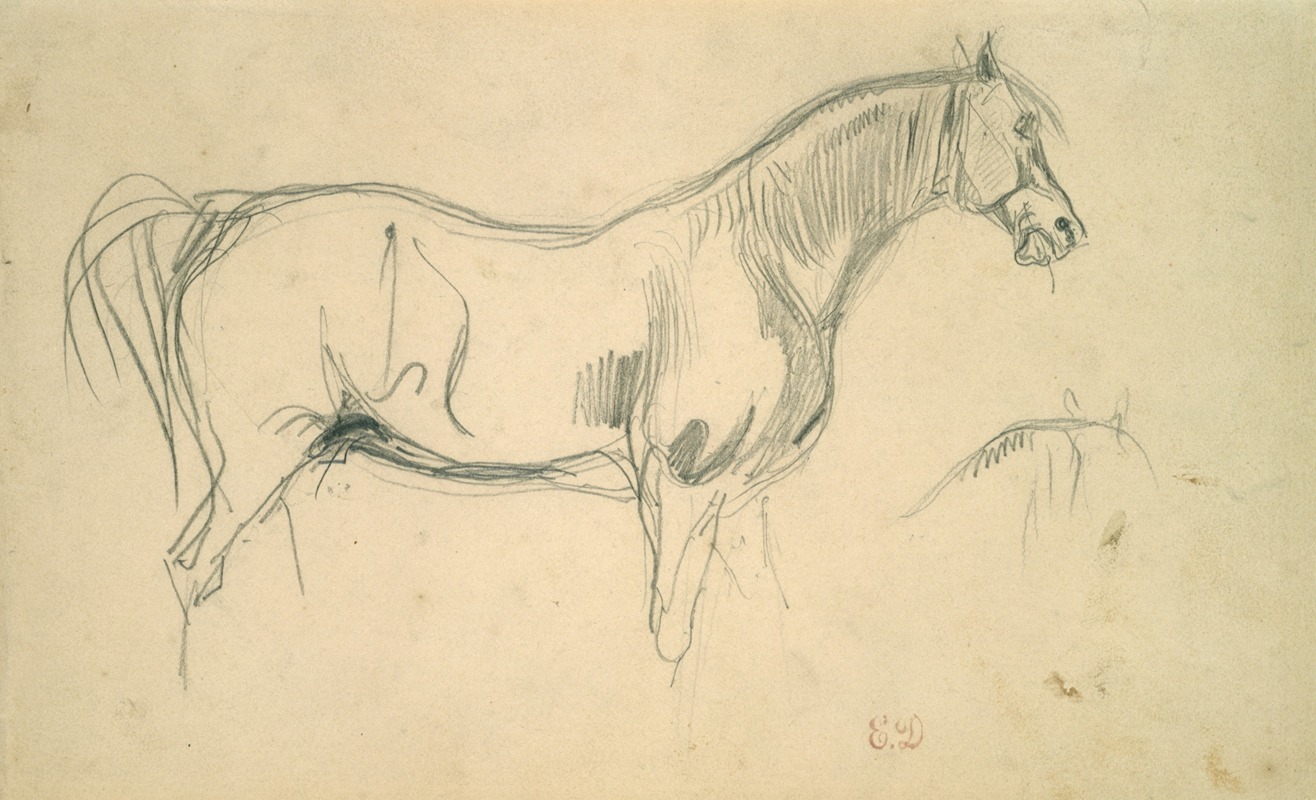 Studies of a Horse in Profile — Eugène Delacroix