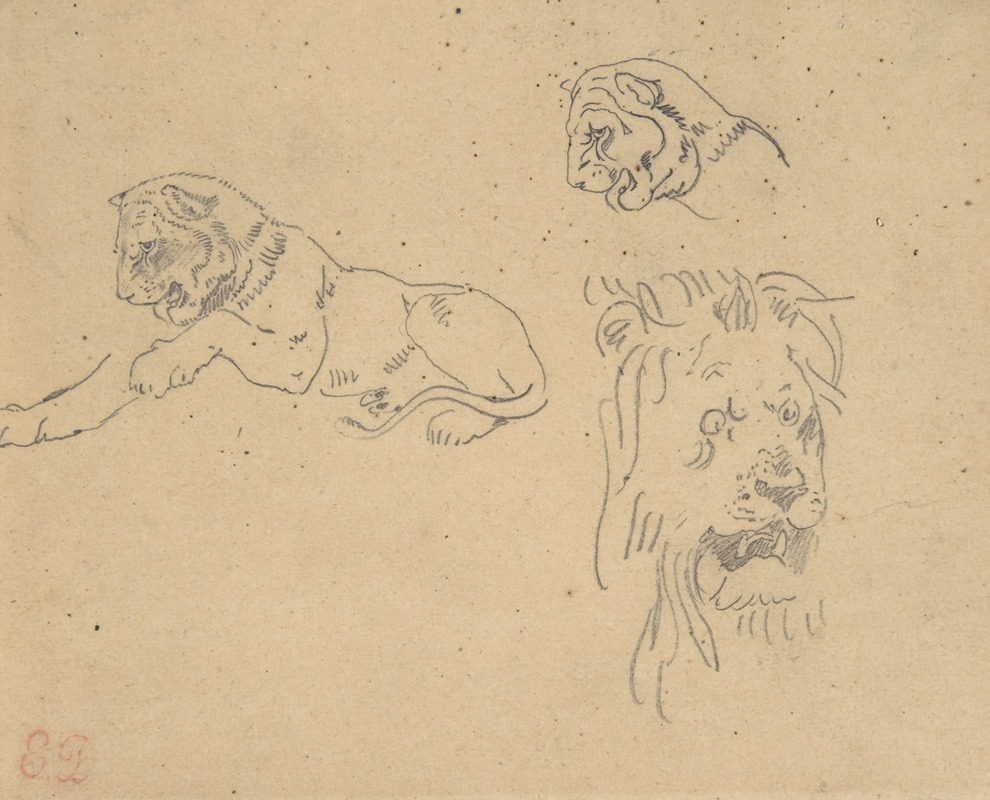 Three Studies of a Lion by Эжен Делакруа — digital art print download