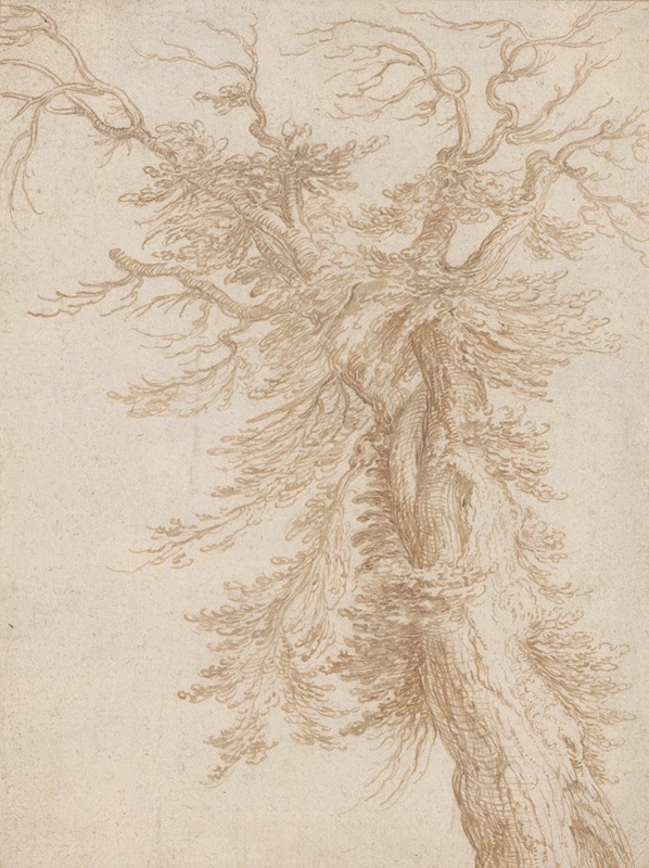 Study of a Tree by Jacob de Gheyn II — digital art print download
