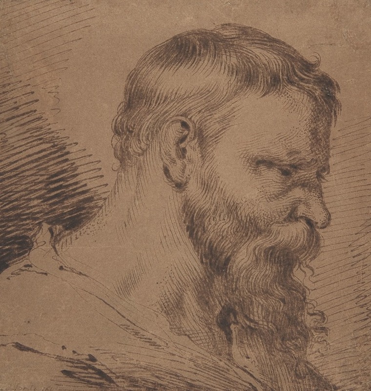 Bearded Head, Looking Down to the Right by Jacob de Gheyn III — digital art print download