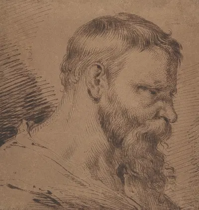 Bearded Head, Looking Down to the Right by Jacob de Gheyn III — digital art print download