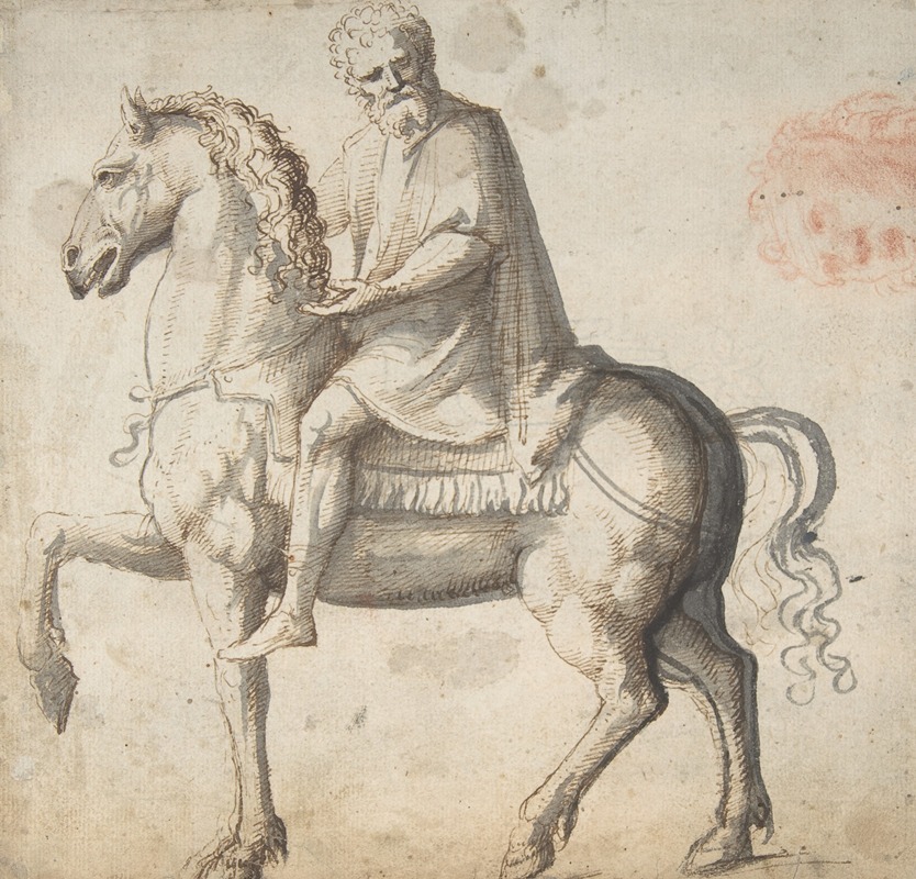 Man on Horseback, Study of a Man's Head — Marcello Fogolino