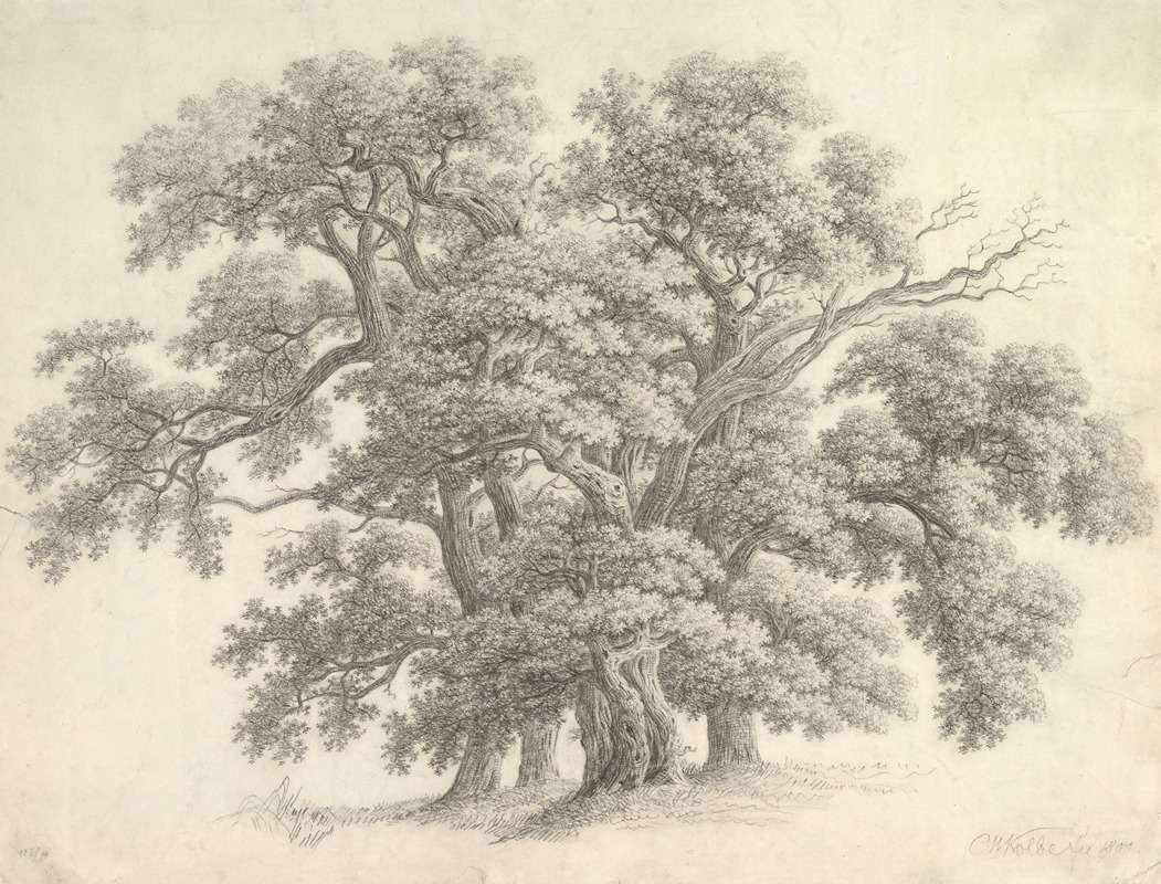 Study of Oak Trees by Carl Wilhelm Kolbe the elder, 1800 — digital art print download