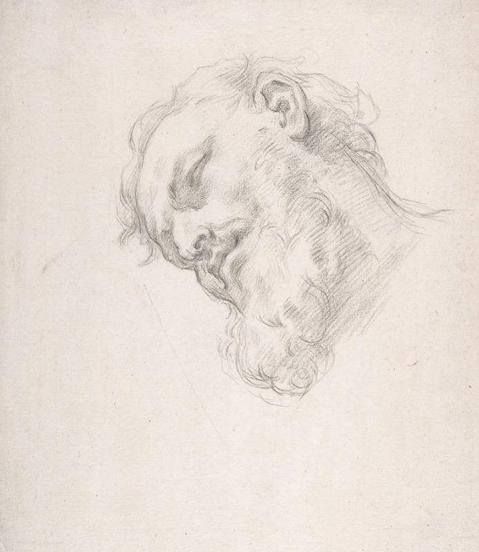 Study for a Head of a Man by Карло Маратти, 1625–1713 — digital art print download