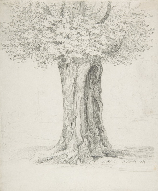 Study of a Tree by Эрнст Фердинанд Эме, 1832 — digital art print download