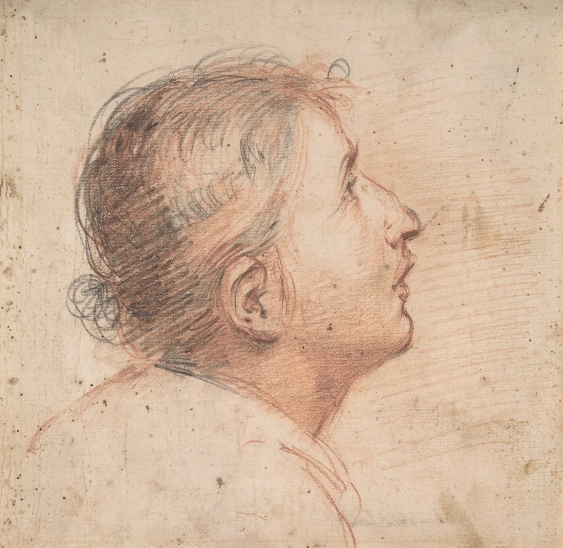 Youth Gazing Upwards in Profile — Francesco Montelatici