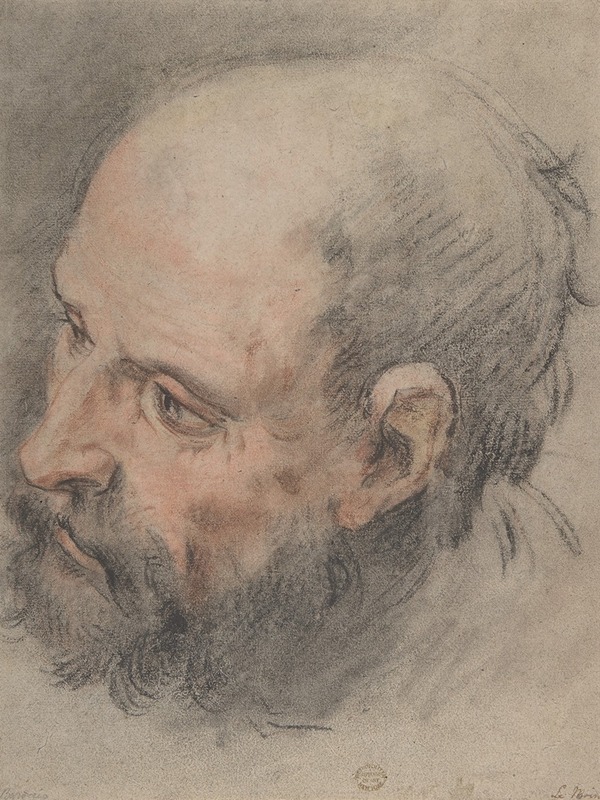 Head of a Bearded Man Looking Left by Франсуа Лемойн — digital art print download