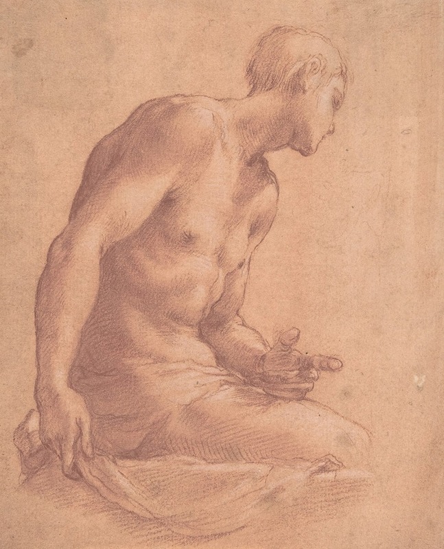 Seated Boy by Girolamo Macchietti — digital art print download