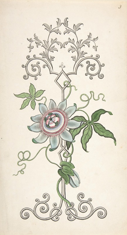 Design for Panel Decoration Centered on a Passion Flower by J. Hulme — digital art print download