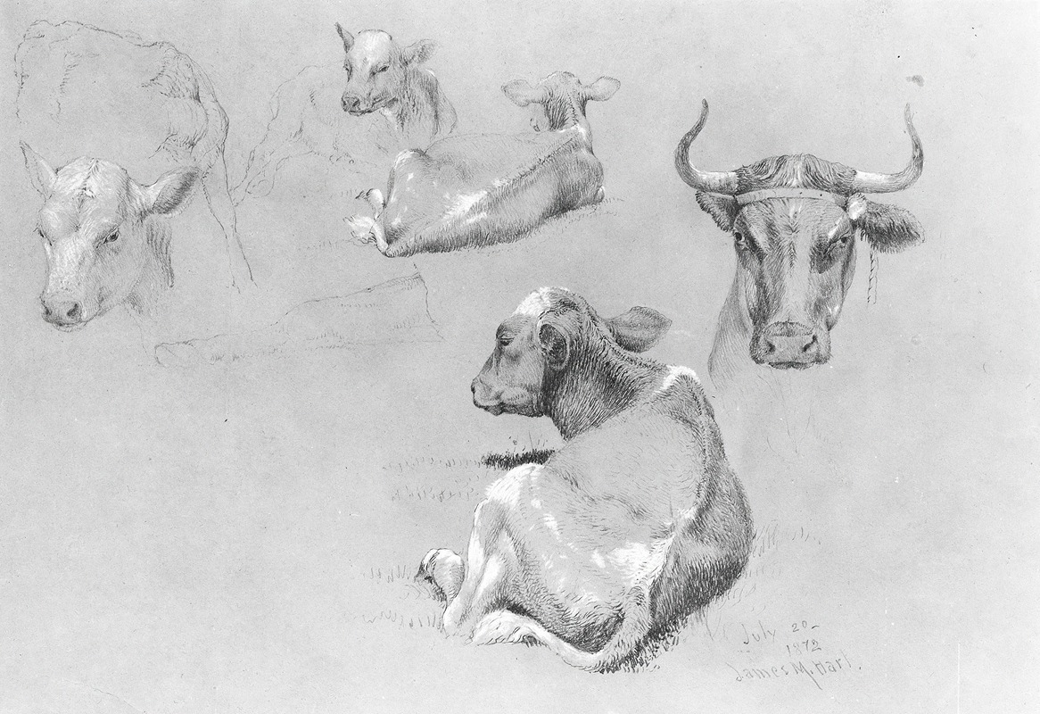 Studies of Cows and Calves — Джеймс Макадугал Харт
