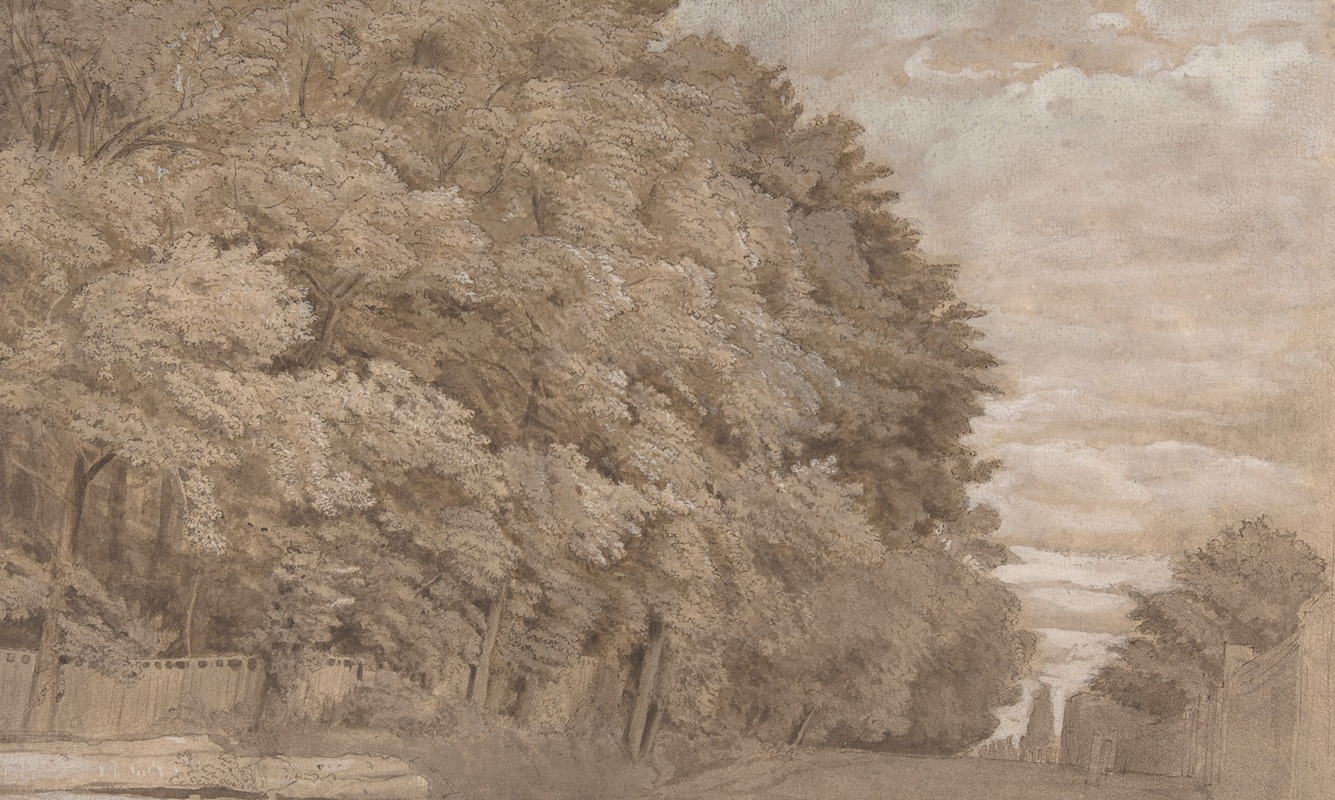 Large Forest by Johannes Leupenius — digital art print download