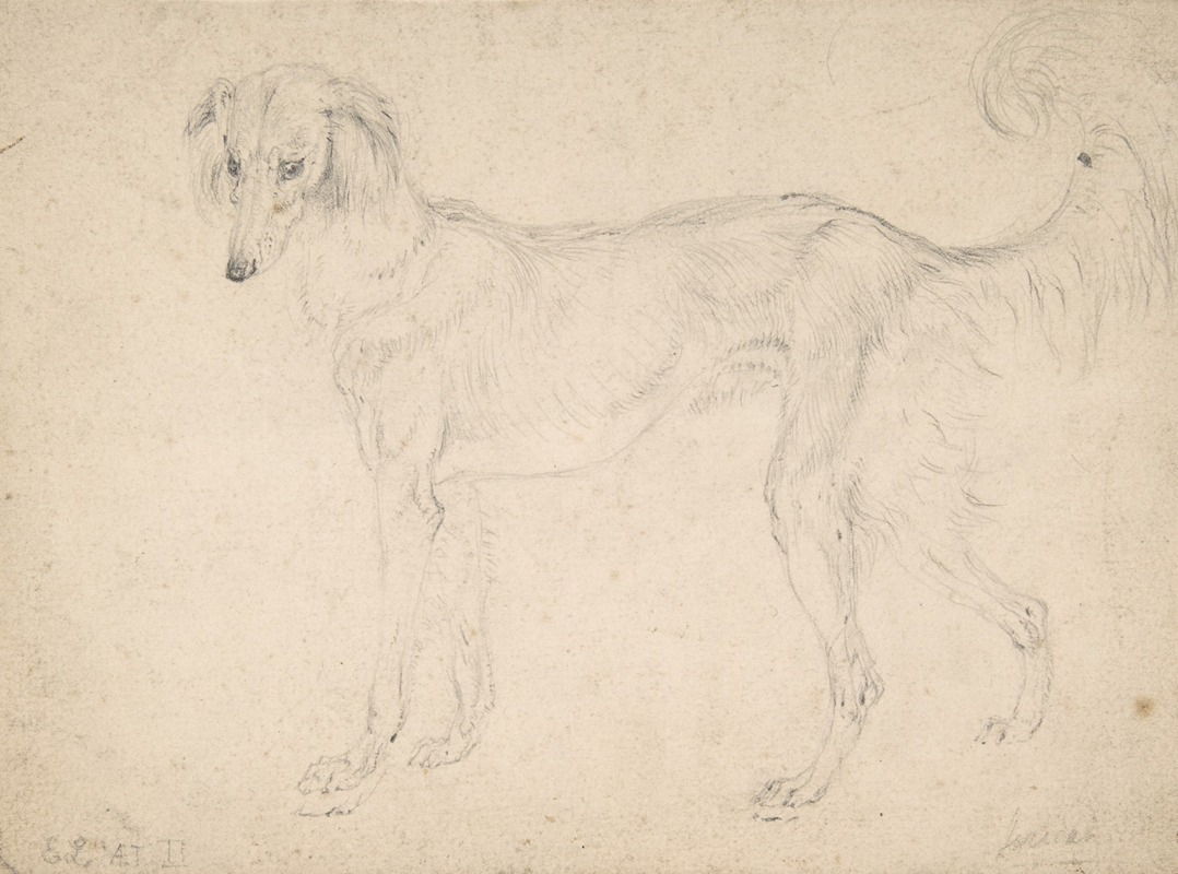 Study of a Feathered Saluki, Facing Left by Сэр Эдвин Генри Ландсир, 1813 — digital art print download