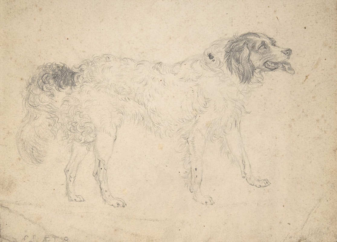 Study of a Herding Dog Facing Right by Сэр Эдвин Генри Ландсир, 1810 — digital art print download