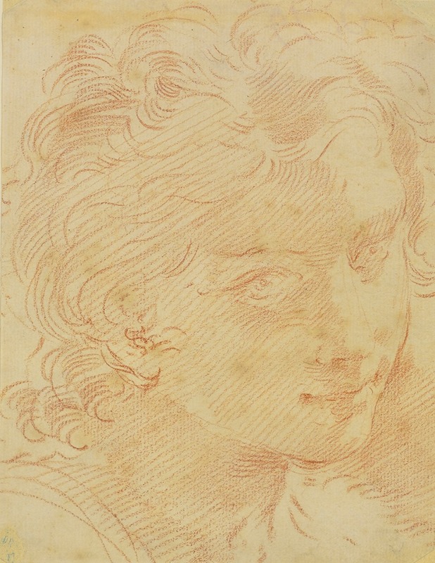 Head Of A Young Man — Circle of Gaetano Gandolfi