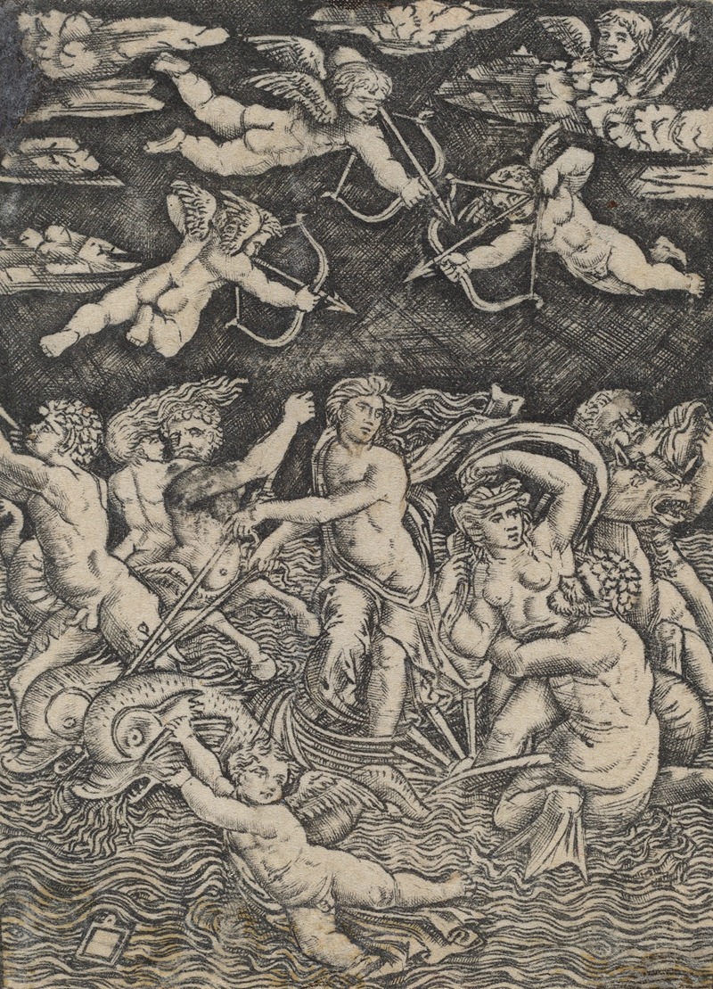 The Triumph of Galatea — Peregrino da Cesena