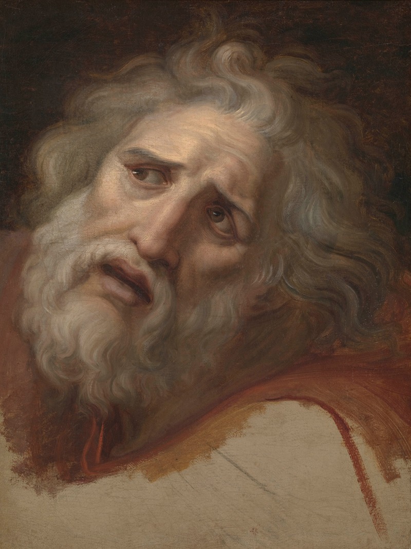 Head of Laocoon by Андреа Аппиани, 1790 — digital art print download