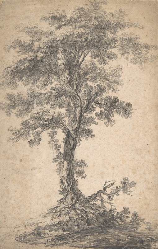Study of a Tree by Жан-Батист Пилеман — digital art print download
