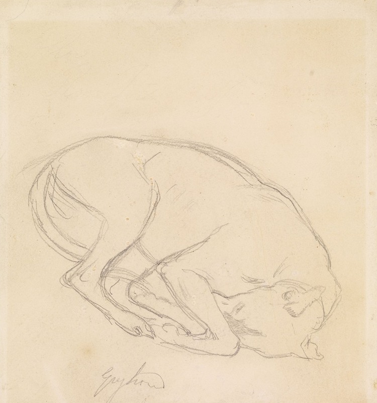 Studies of a chin, a sleeping dog, annotated 'greyhound' — Sir John Everett Millais