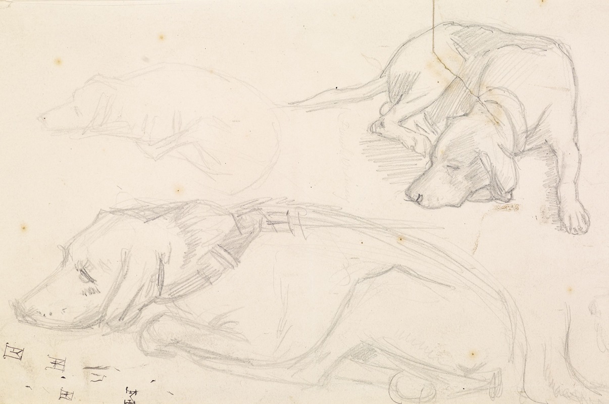 Three Studies of a Sleeping Dog by Сэр Джон Эверетт Милле — digital art print download