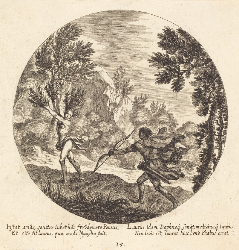 Daphne Turning to a Laurel by Георг Андреас Вольфганг Старший, 1665 — digital art print download