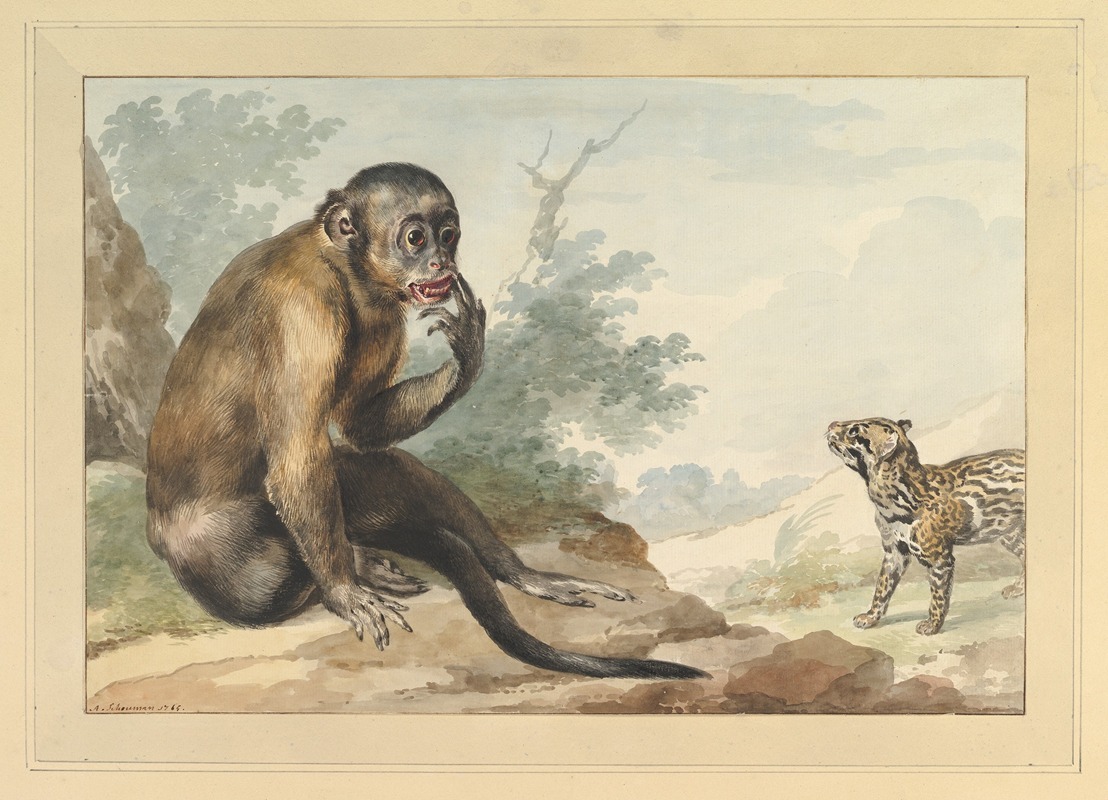 A Monkey Sitting on a Rock Looking at a Civet by Аерт Шоуман, 1764 — digital art print download