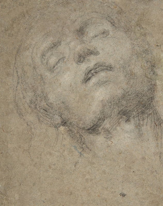 Study of a Head by Джованни Джироламо Савольдо — digital art print download