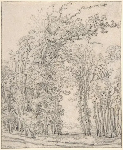 Study of Trees by Джон Рескин — digital art print download