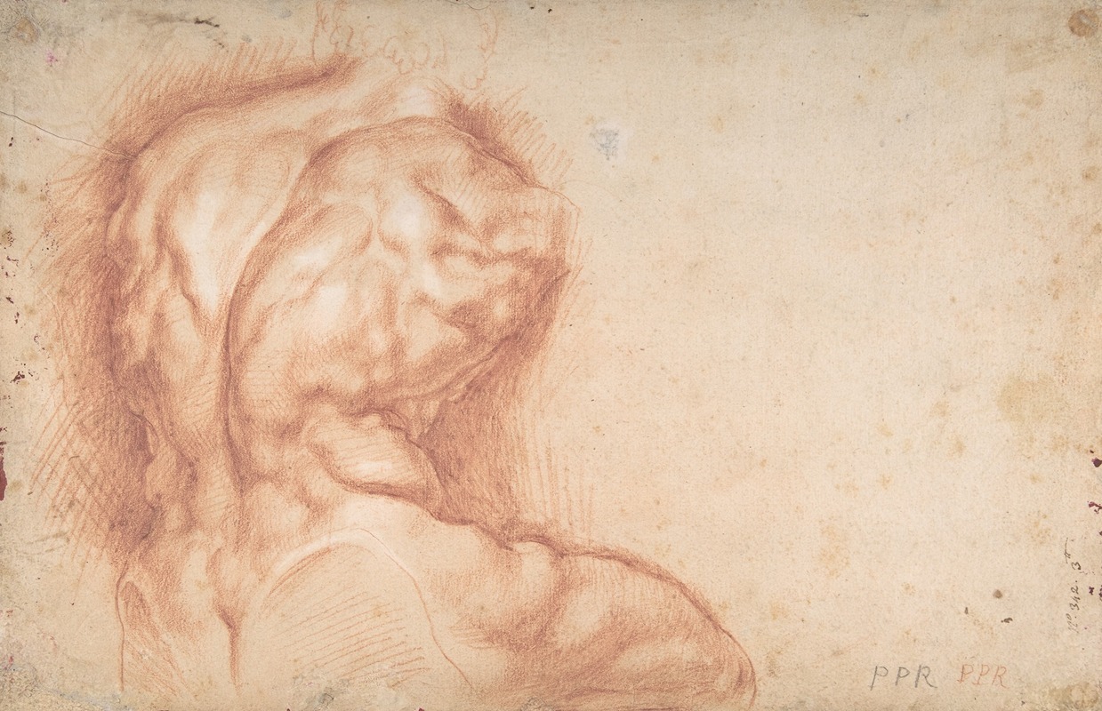 Study of the Torso Belvedere by Петер Пауль Рубенс, 1577–1640 — digital art print download