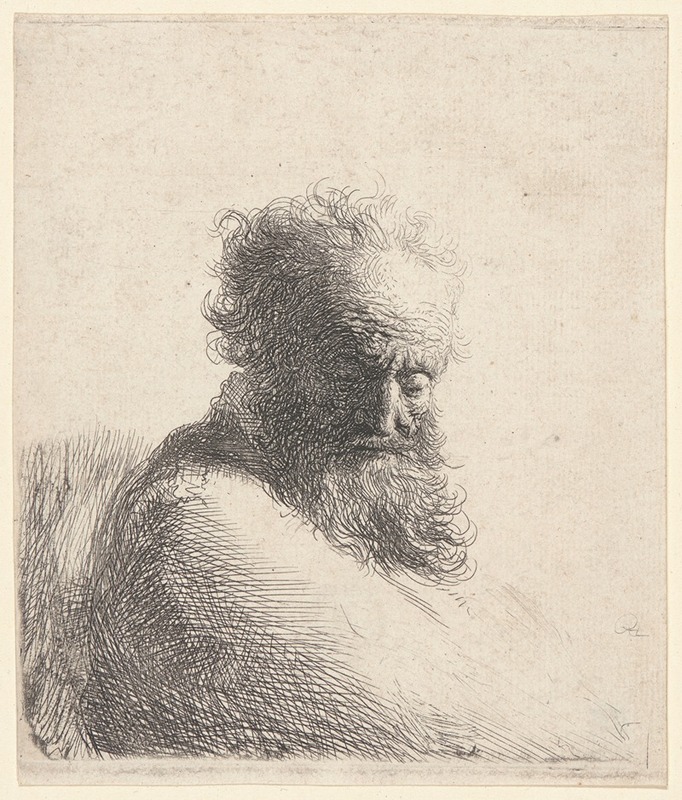 Bust of an Old Bearded Man, Looking Down — Rembrandt van Rijn