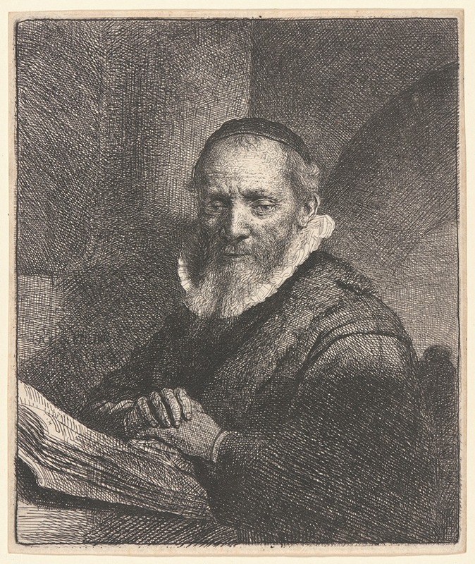 Jan Cornelis Sylvius, Preacher by Рембрандт ван Рейн, 1633 — digital art print download