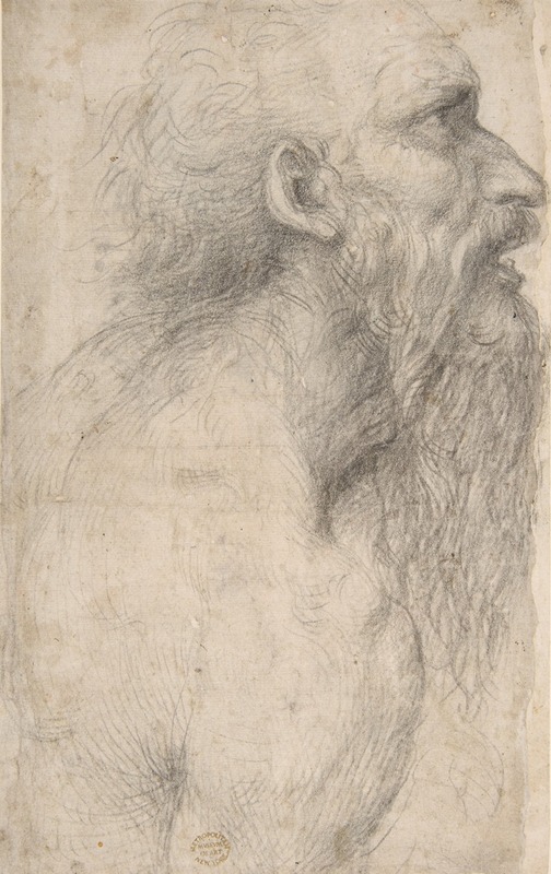 Bust of a Man with Long Beard by Sodoma, 1477–1549 — digital art print download