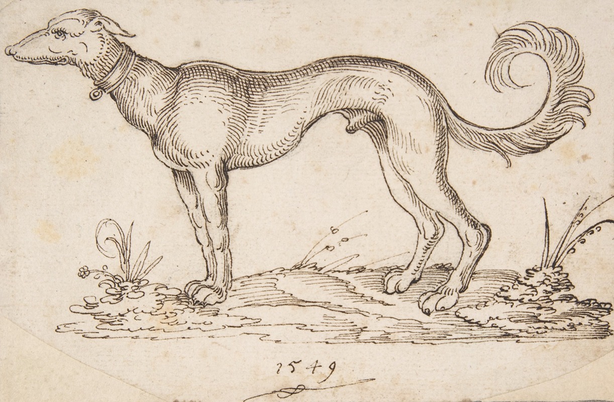 A Greyhound in Profile Facing Left by Virgil Solis, 1549 — digital art print download
