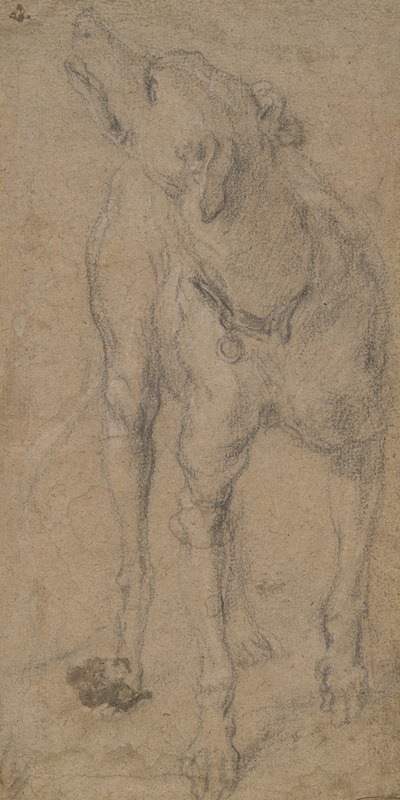 Study of a Dog by Абрахам Хондиус — digital art print download